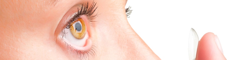 a beginner's guide to contacts