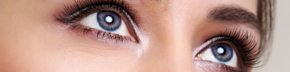 ottawa optometrists