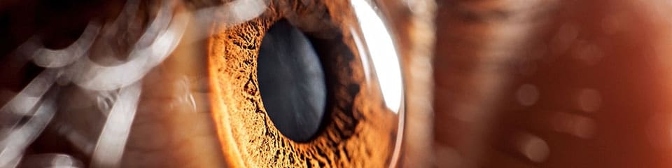 A close-up of a person's eye