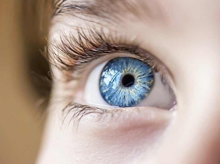 How Did You Get Your Eye Colour Laurier Optical Innes Eye Clinic