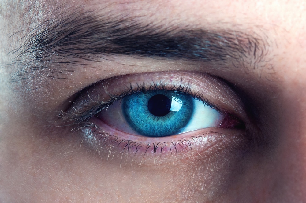 5 Tips to Prevent Fungal Eye Infections | Laurier Optical