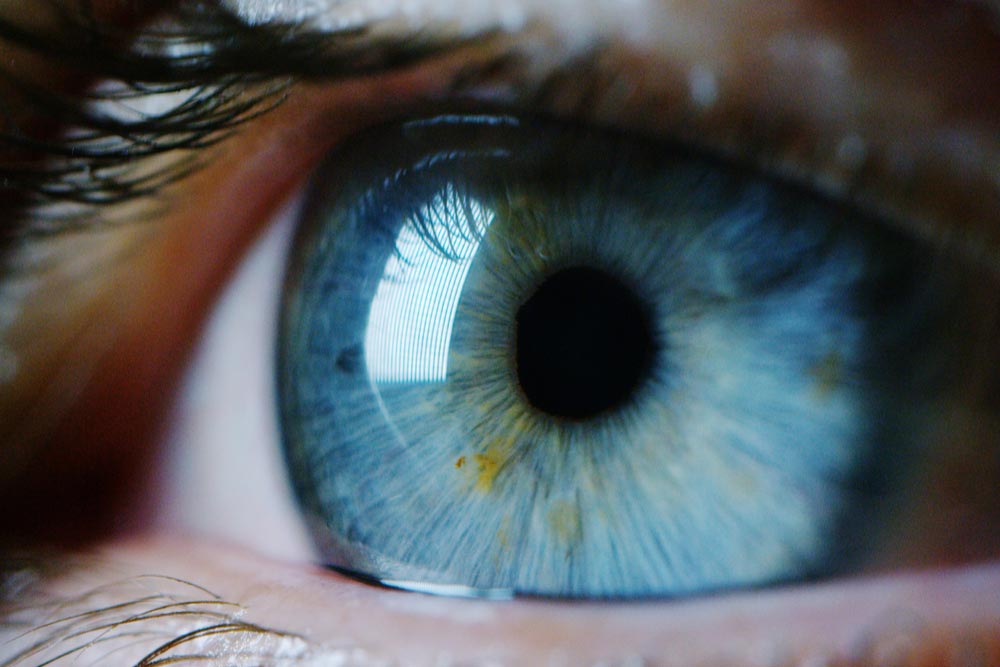 perfect vision