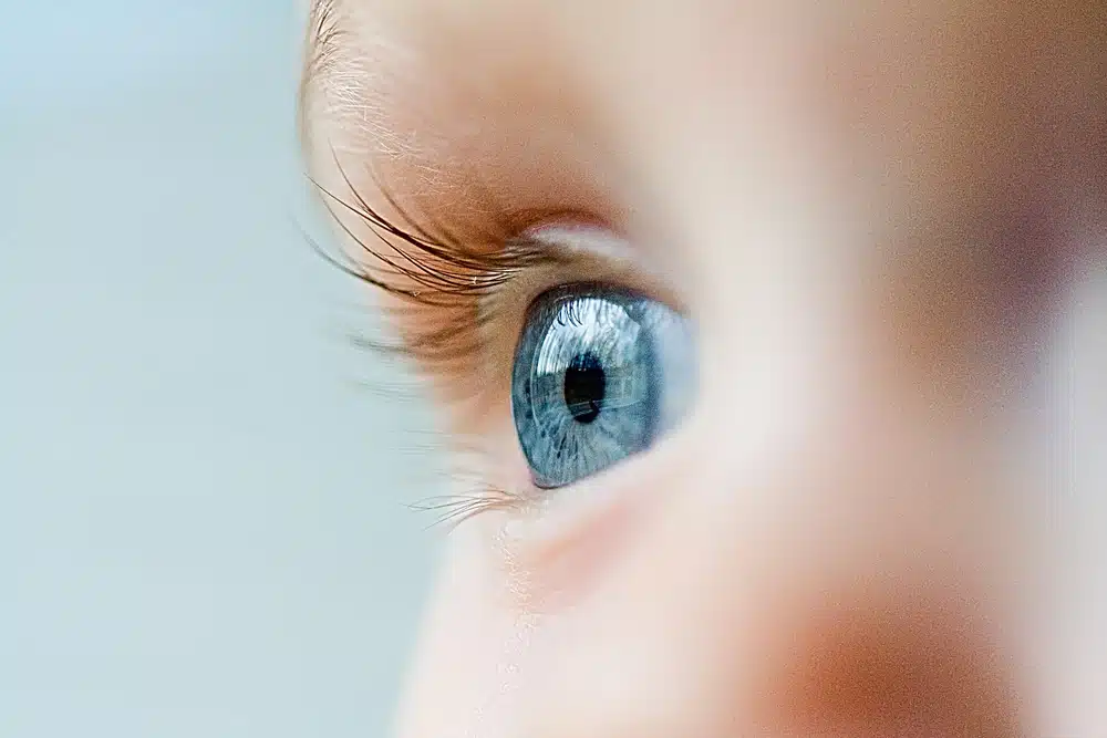 A close up of a baby's blue eye.